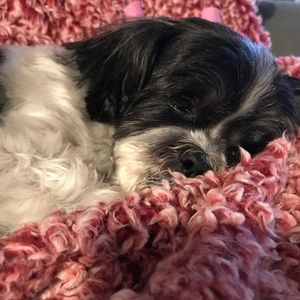 Meet your Posher, Nancy